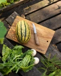 Marttiini Chopping Board M 2
