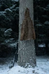 Harkila Kodiak CleverWool HSP Insulated Jacket 18