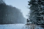 Harkila Kodiak CleverWool HSP Insulated Jacket 9