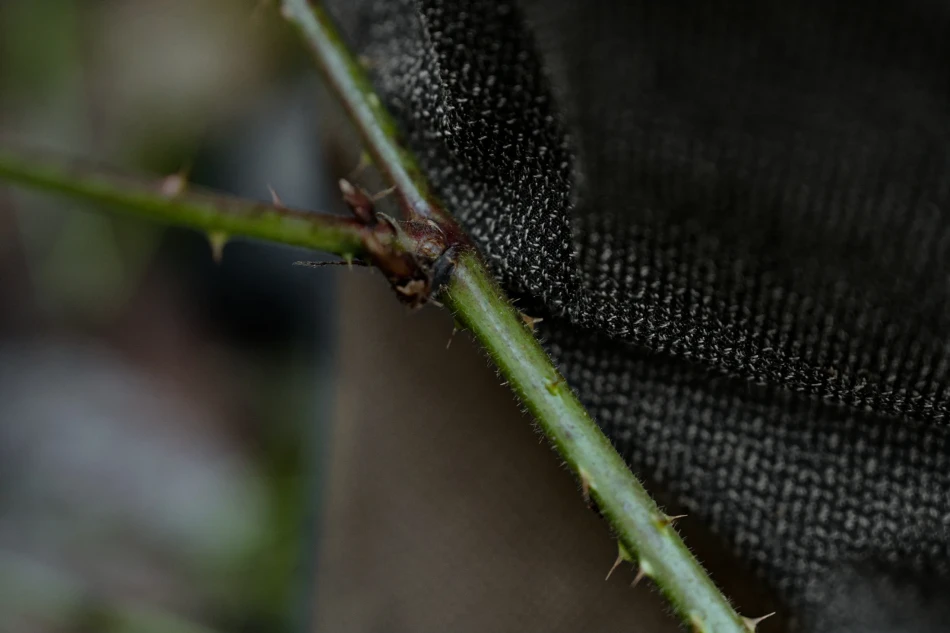 Seeland Venture Edge Trousers 12