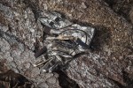 Muflon Light Gloves, kolor: 46 - Realtree Edge Camo