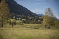 Reims Shorts, kolor: 592-After dark