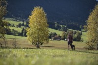 Reims Shorts, kolor: 592-After dark