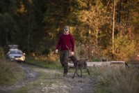 Rogaland Stretch Trousers 3772, kolor: 571-Brown leaf