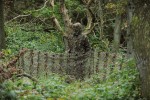 Sneaky 3D Pull-Over Set, kolor: 40-Innovation Camouflage