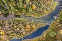 Kanken Art Card Wallet, widoczek