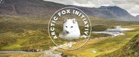 Arctic fox