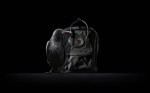 Fjallraven Kanken No. 2 Black Edition, kolor: 550 - Black