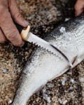 Fishermans Knife Condor