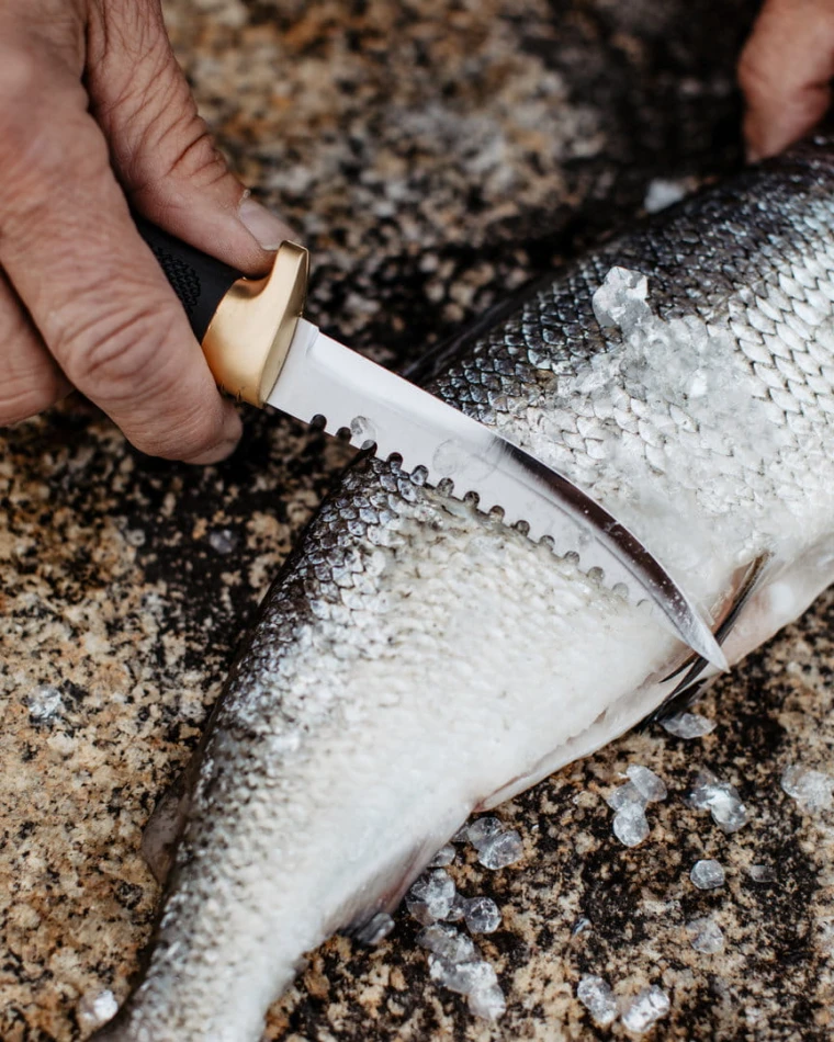 Fishermans Knife Condor