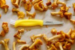 Mushroom Knife w Neck Sheath