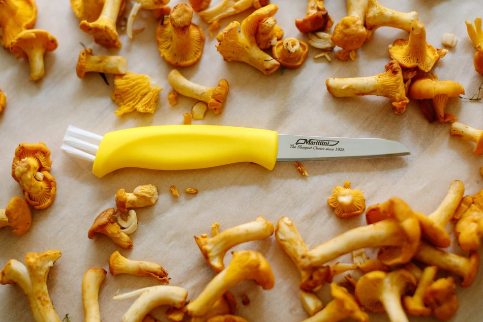 Mushroom Knife w Neck Sheath