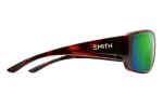 Guide's Choice Tortoise Polar Green Mirror