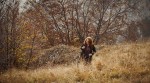 Lady Caroline Padded Jacket, kolor: 571-Brown Leaf