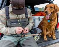 Gallatin Flannel Shirt, kolor: 782 - dark stone stripe