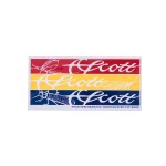 Scott Bugs - T-Shirt, kolor: White - nadruk