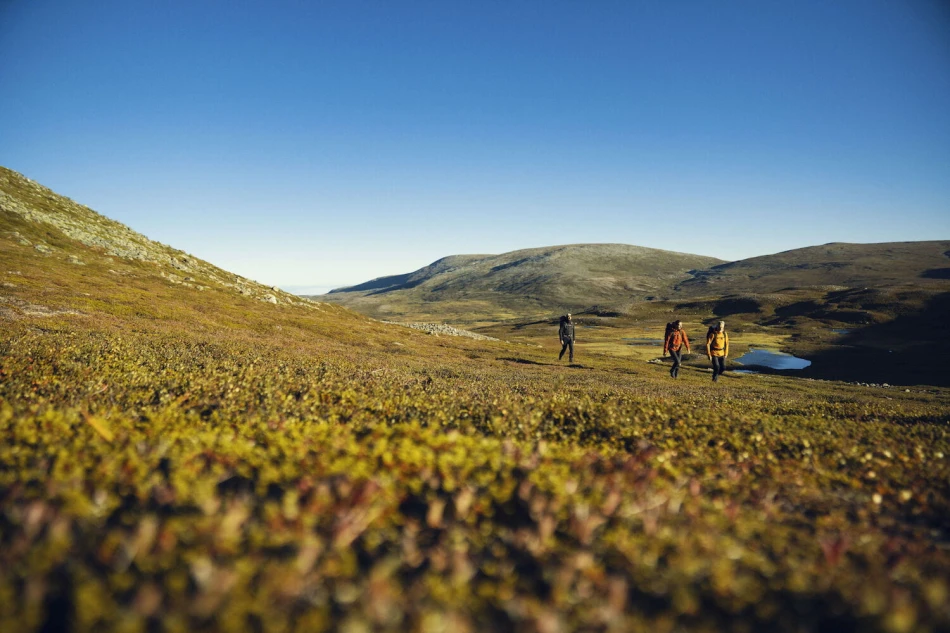 Fjallraven Abisko Midsummer Zip-Off Trousers W