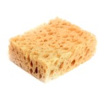 Collonil Sponge