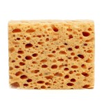 Collonil Sponge