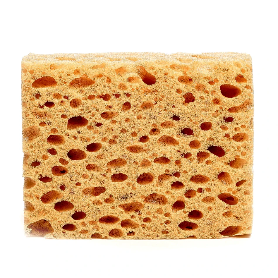 Collonil Sponge
