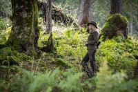 Lady Roja, kolor: 381 - Fallen Leaf