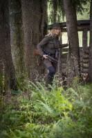 Lady Roja, kolor: 381 - Fallen Leaf