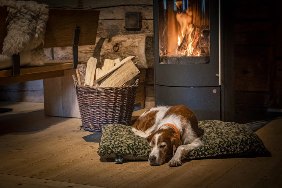 Deerhunter Germania Dog Bed, kolor: 366 - Cypress Camou