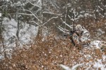 Snow Pull-over Set w. Facemask, kolor: 47-Innovation GH Snow Camouflage