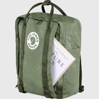 Tree Kanken, kolor: 627 - Lichen Green