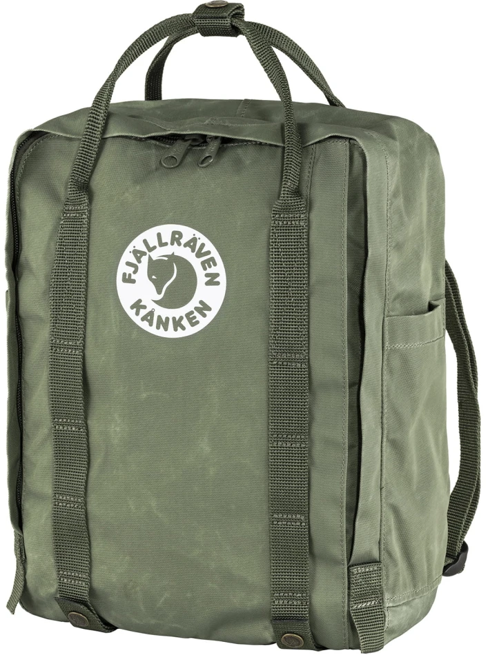 Tree Kanken, kolor: 627 - Lichen Green