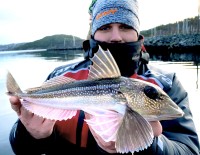 100-8-P, kolor: szary melanż z pomarańczowym logiem