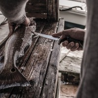 Controller 8" - zdjęcie poglądowe