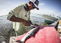 Gerber Controller 8" Salt