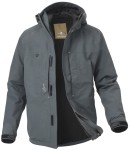 Barbarus Asimi, kolor: Grey