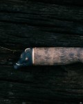 noz_Marttiini_Wild_Boar_2.jpg