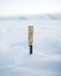 Carving Arctic Knife