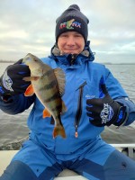 606-B, kolor: niebieski