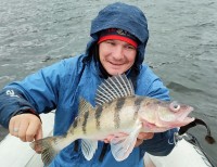 606-B, kolor: niebieski