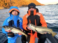 215-O-B, mix kolorów