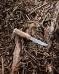 Marttini Witch Tooth