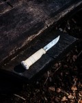 Marttini Witch Tooth