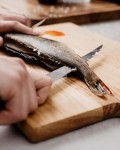 Condor Filleting Knife