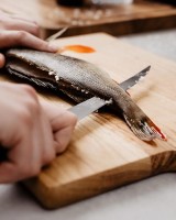 Condor Filleting Knife