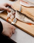 Condor Filleting Knife