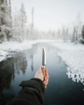 Lumberjack Carbon