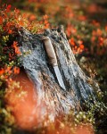 Lynx Lumberjack Stainless