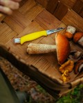 Mushroom Knife