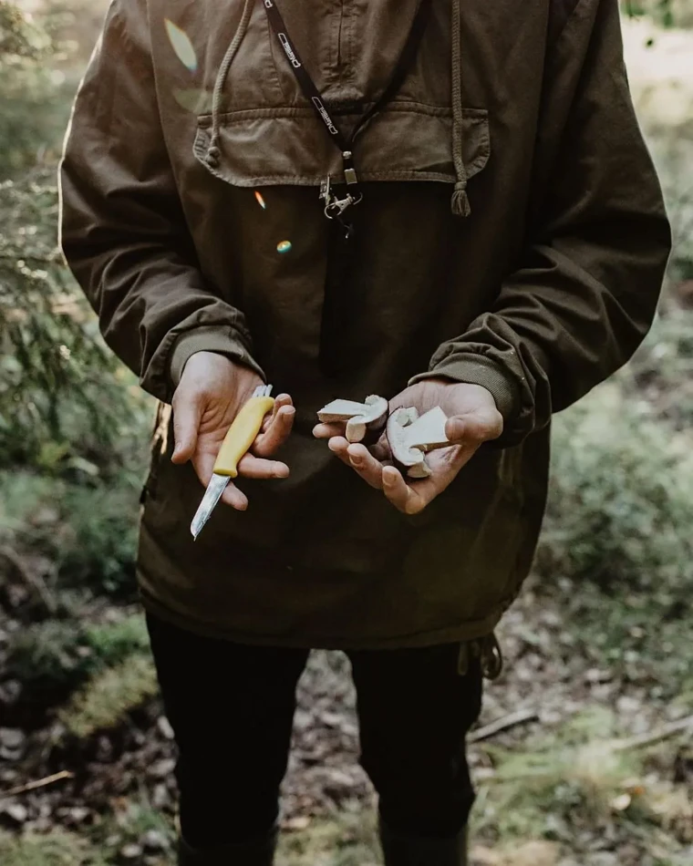 Mushroom Knife