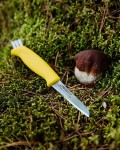 Mushroom Knife