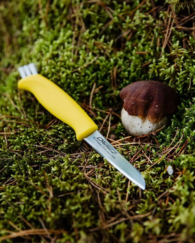 Mushroom Knife